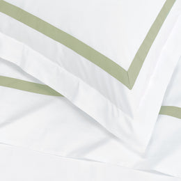 Bella Eucalyptus Framed Percale Euro Sham