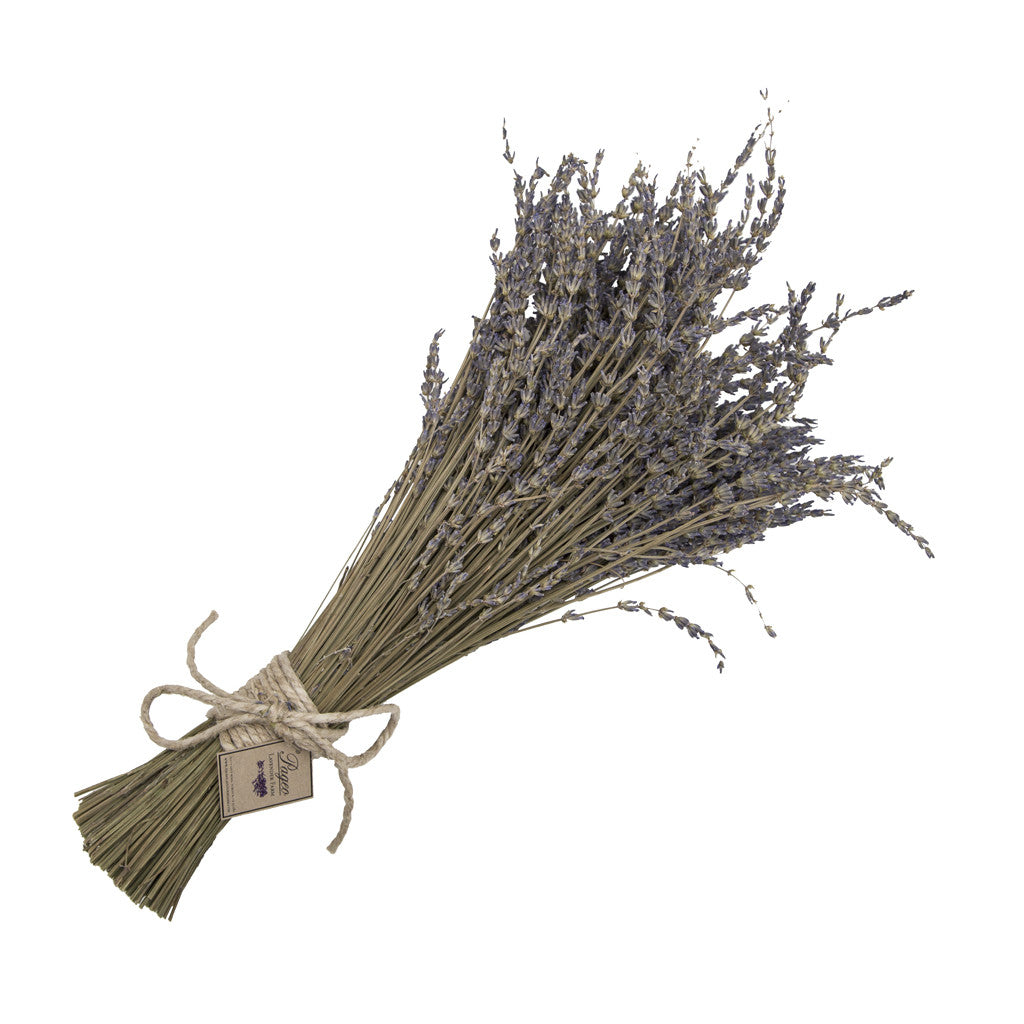 The Lavender Bundle